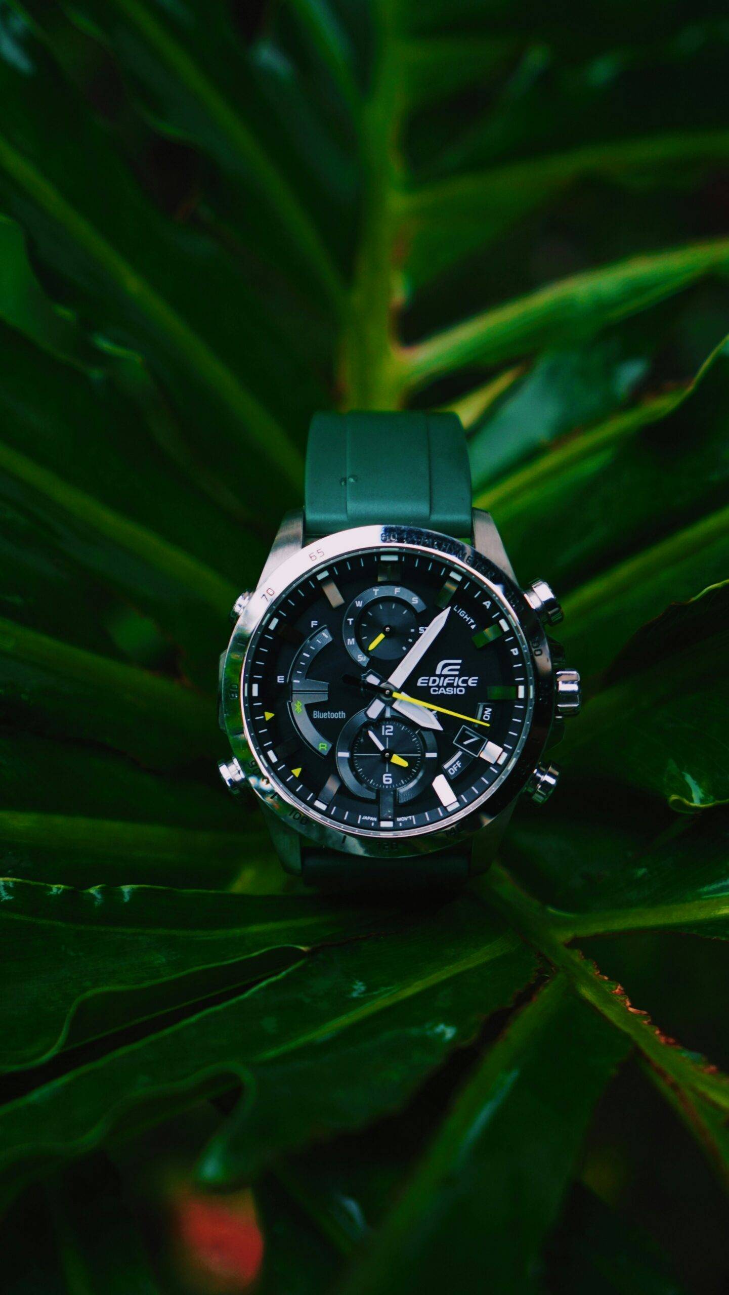 Professional Commercial Photographer taking a picture of a watch on a tropical leaf.