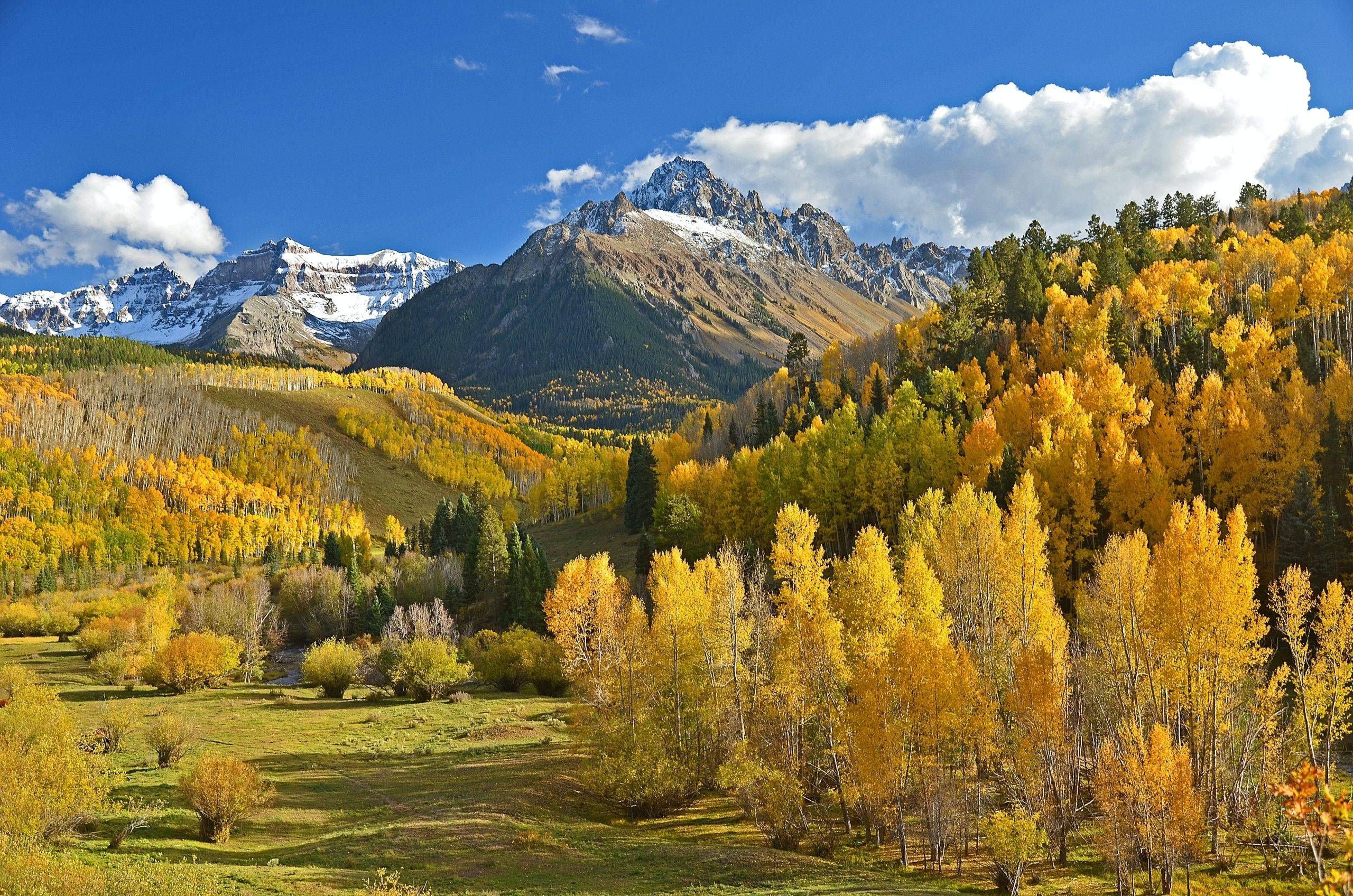 yellow aspens and mountains in Colorado