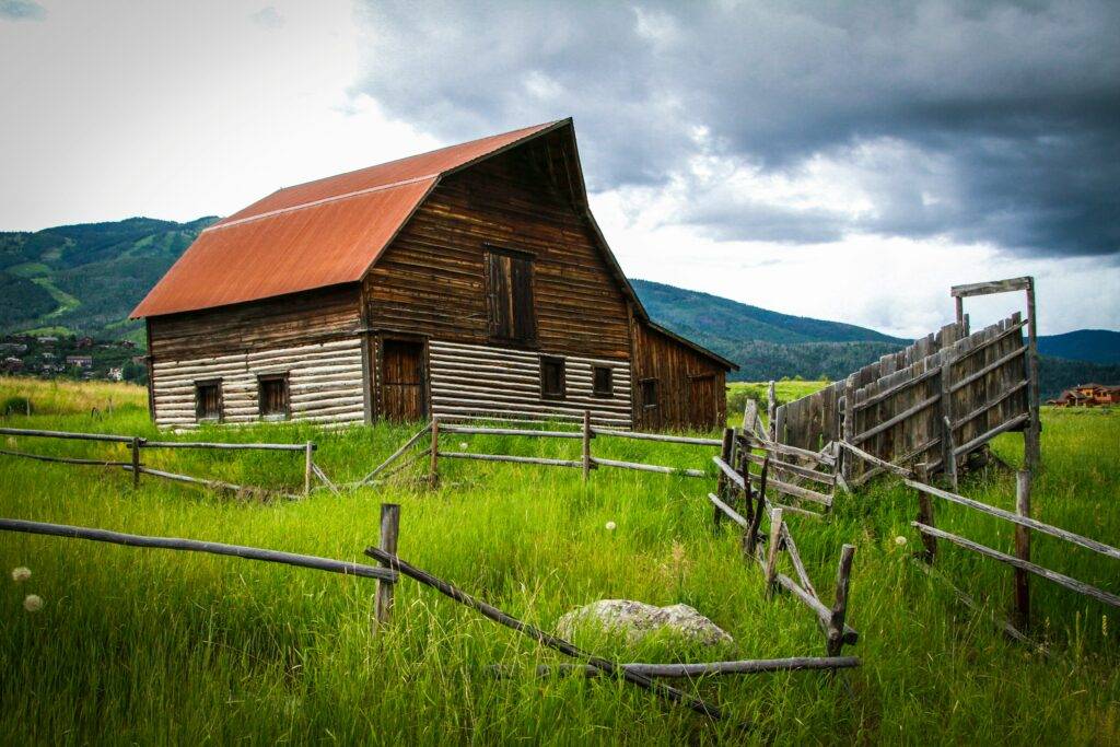 barn Wedding Venues In Steamboat Springs with green grass.