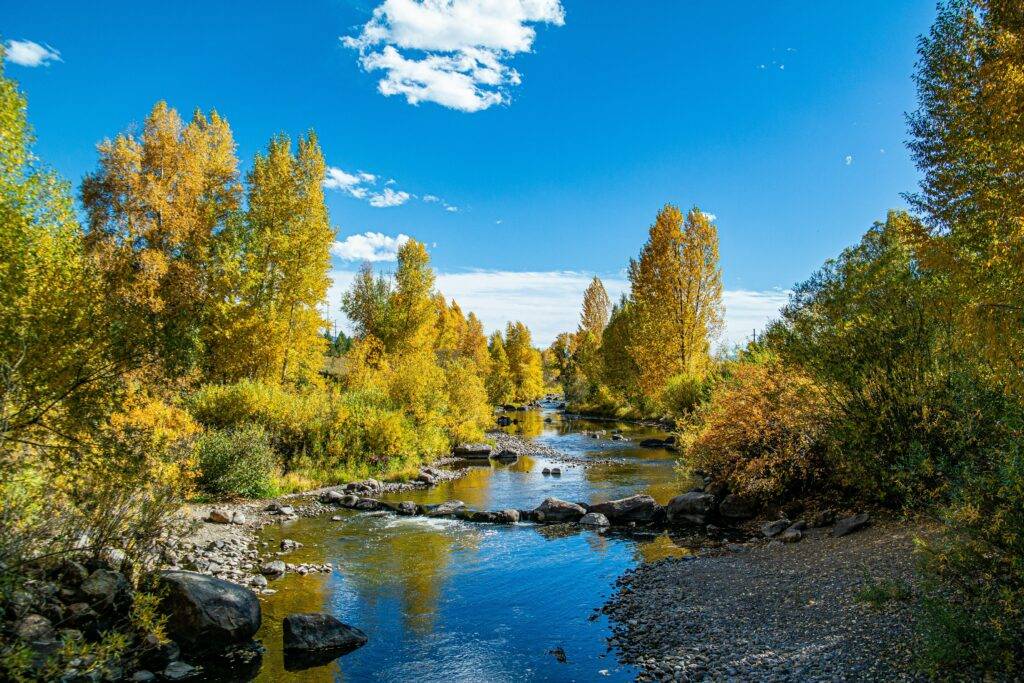 Yampa river with golden leaves in Steamboat Springs, Colorado